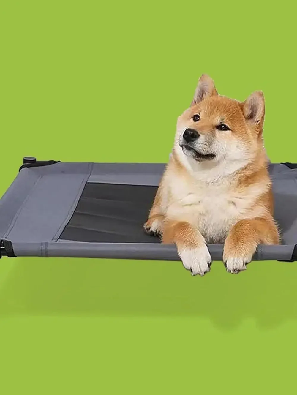 ELEVATED SMALL DOG BED